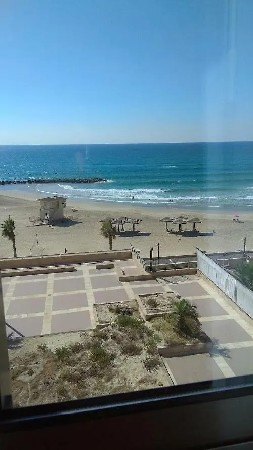Maytoro Haifa 0*,